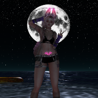 author avatar